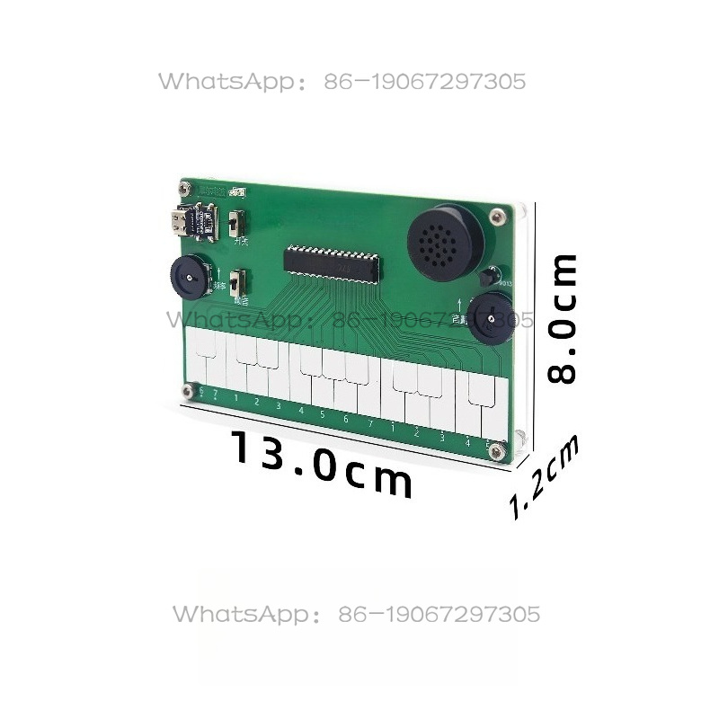 Electronic Musical Instrument  - Diy Electronics Course review and price